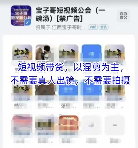 宝子哥头部团队短视频带货，以混剪为主，不需要真人出镜，不需要拍摄【更新11月】-创富云网创