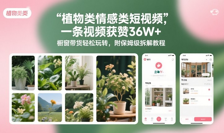 植物类情感类短视频，一条视频获赞36W+，橱窗带货轻松玩转，附保姆级拆解教程-创富云网创
