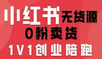 小红书无货源0粉电商课，开店准备、选品策略、笔记撰写、视频剪辑、数据分析、账号打造、资料文档(更新)-创富云网创