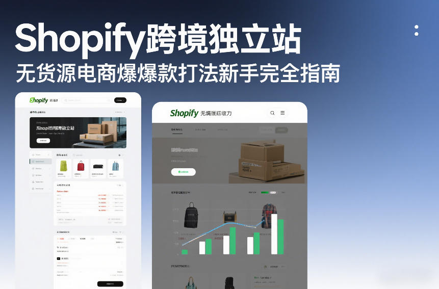 Shopify跨境独立站无货源电商爆款打法新手完全指南-小目标云网创