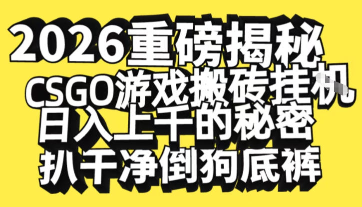 2026开年重磅解密，CSGO游戏搬砖挂G日入1k+的秘密，把倒狗的底裤扒干【揭秘】-创富云网创