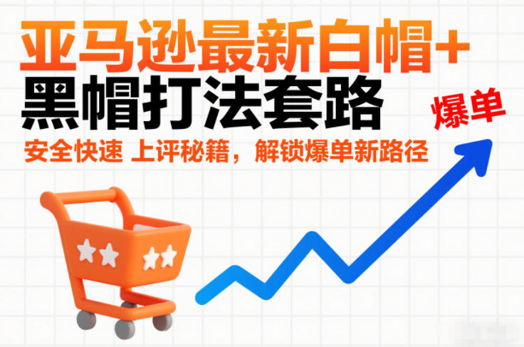 亚马逊最新白帽+黑帽打法套路，安全快速上评秘籍，解锁爆单新路径-创富云网创