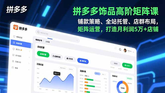 拼多多饰品高阶矩阵课，铺款策略、全站托管、店群布局，矩阵运营，打造月利润5万+店铺-创富云网创